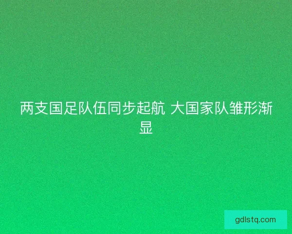 两支国足队伍同步起航 大国家队雏形渐显